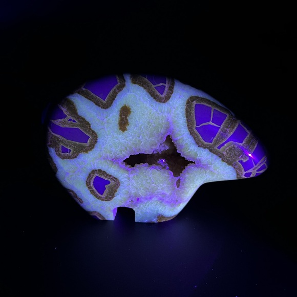 Utah Septarian Geode Carved Zuni Style Bear Figure - Picture 10 of 10